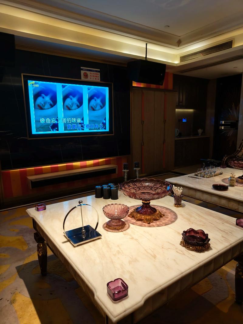 益阳商务ktv总排行-资阳区ktv预订